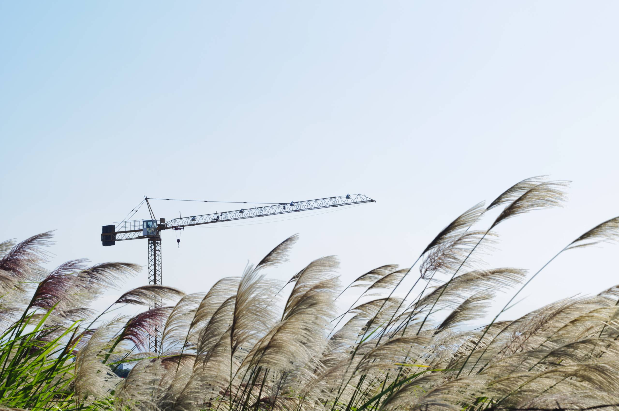 Projet environnemental
